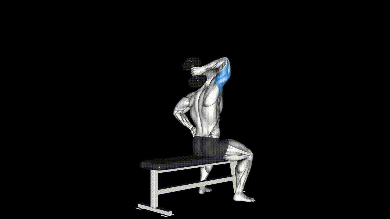 One-Arm Overhead DB Triceps
